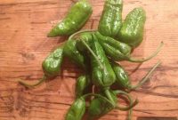 Dorset Naga Down: Rare Chicken Breed Guide & Care Tips