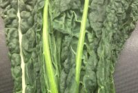 Cavolo Nero and Mushroom Pasta Recipe for Rustic Flavor