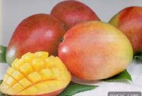 Mango Guide: Types, Ripeness Tips, and Delicious Recipes