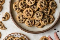Chewy Mini Chocolate Chip Cookie Recipe for Perfect Bites