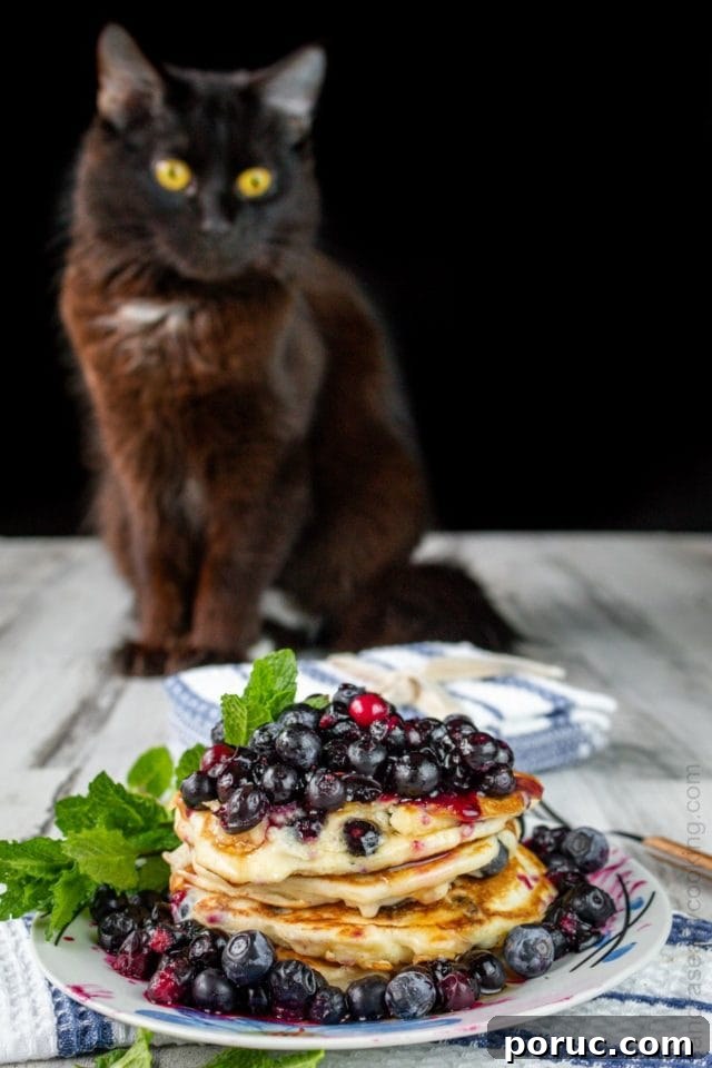 Fluffy Blueberry Pancakes with Cream Cheese Swirl 4 Fluffy Cream Cheese Blueberry Pancakes