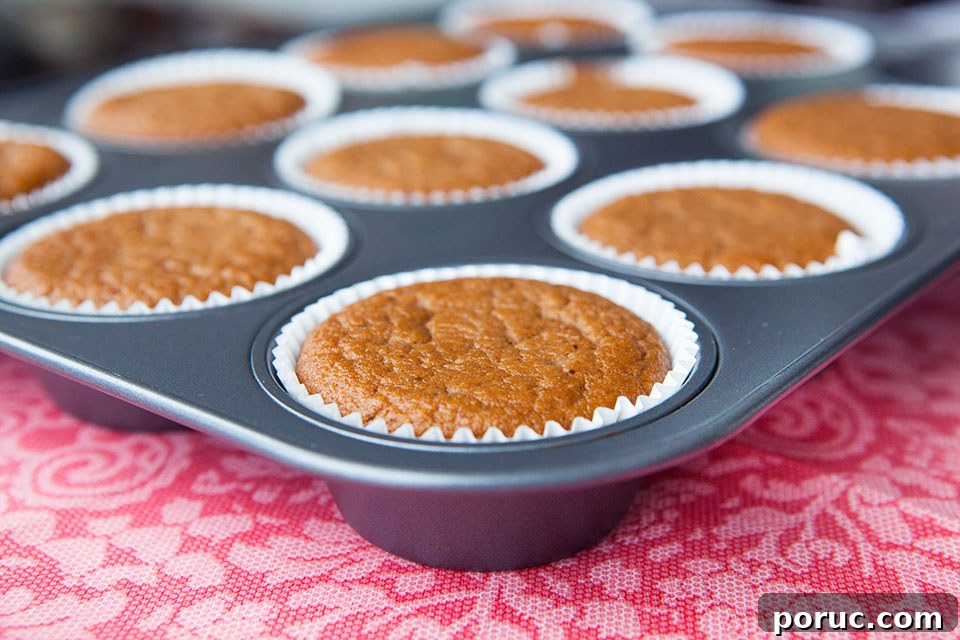 Dirty Chai Paleo Muffins with Cinnamon Sugar Whipped Cream Recipe 2 Dirty Chai Paleo Muffins with Cinnamon Sugar and Whipped Cream