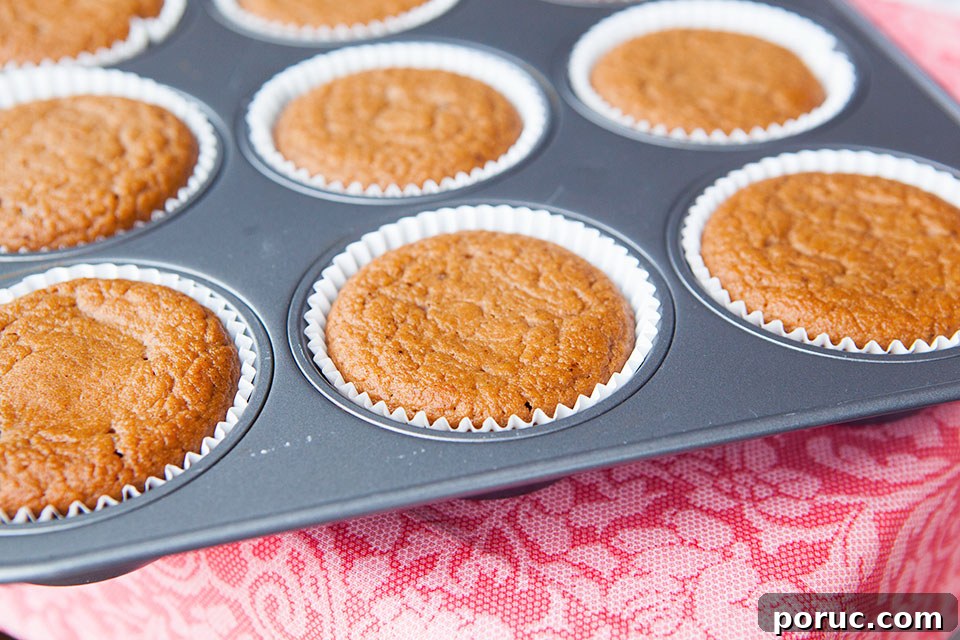 Dirty Chai Paleo Muffins with Cinnamon Sugar Whipped Cream Recipe 3 Dirty Chai Paleo Muffins with Cinnamon Sugar and Whipped Cream