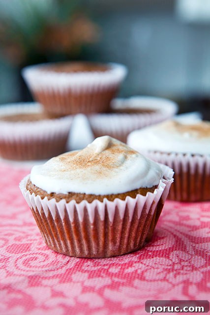 Dirty Chai Paleo Muffins with Cinnamon Sugar Whipped Cream Recipe 4 Dirty Chai Paleo Muffins with Cinnamon Sugar and Whipped Cream