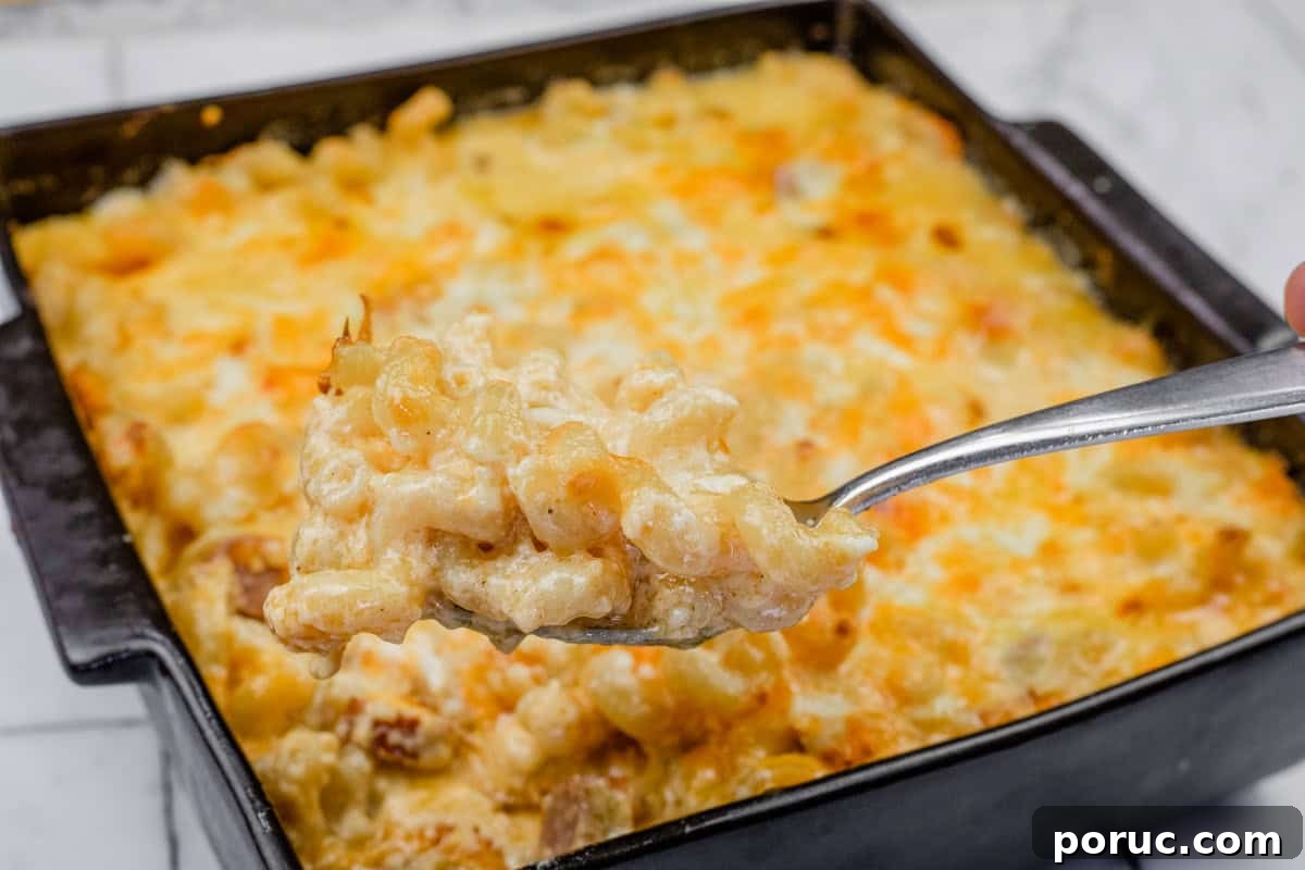 25 Comfort-Food Recipes That Satisfy Every Craving 24 A spoonful of Tini’s Mac & Cheese with a Twist is held above a square baking dish filled with the same dish.
