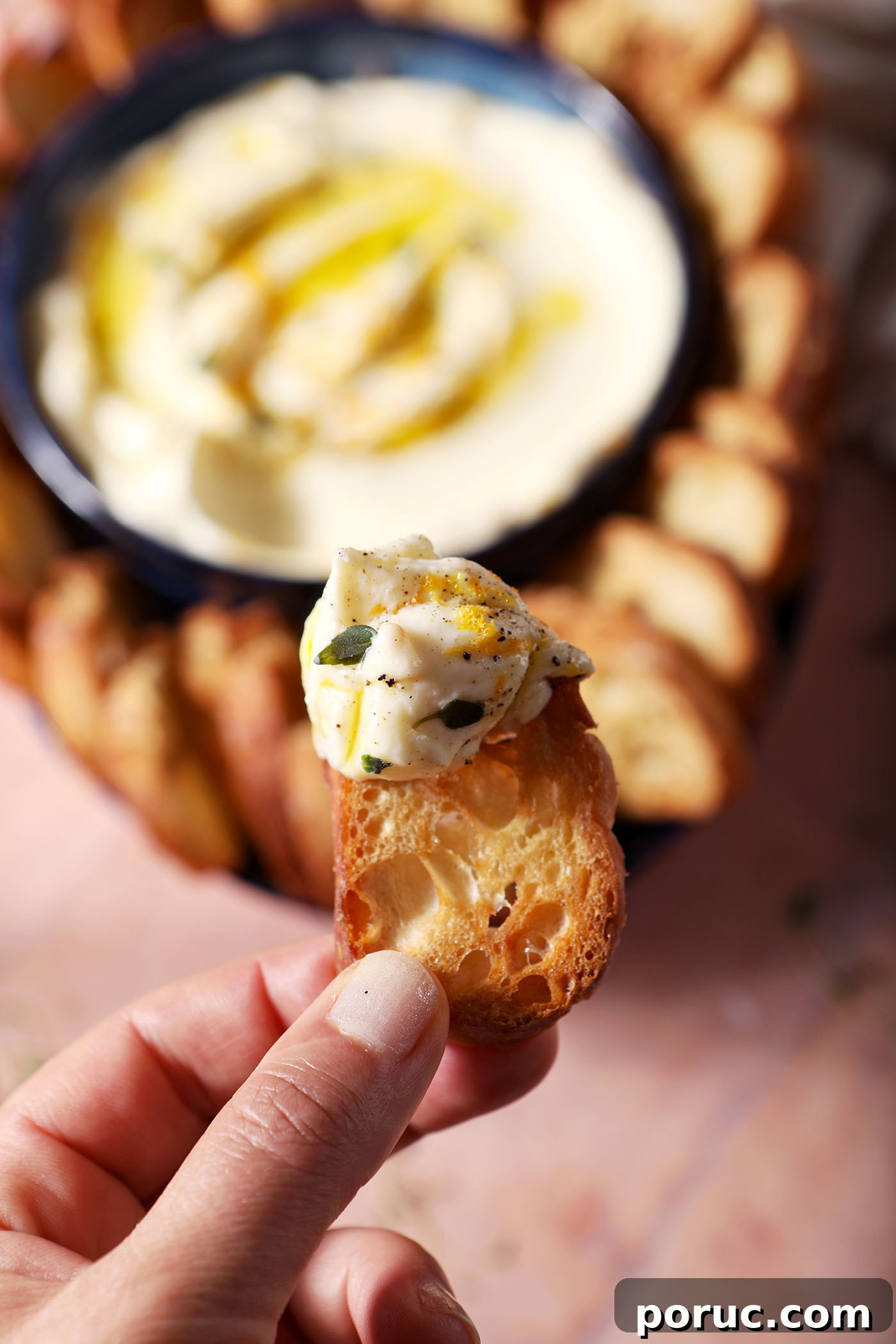 Creamy Whipped Ricotta Dip with Lemon and Herbs 7 A hand holds a crostini with a little whipped ricotta on the end of it above a platter of the dip and more crostini