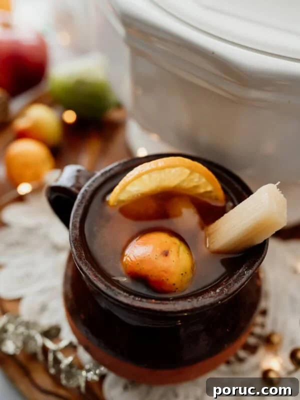 ponche navideño in a short mug with fruit garnishes and a white punch bowl behind it.