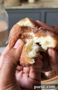 Chocolate Donuts Without Eggs: Moist Vegan Chocolate Donuts 3 img 10491 2