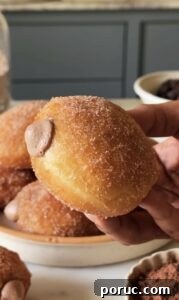 Chocolate Donuts Without Eggs: Moist Vegan Chocolate Donuts 5 img 10491 4