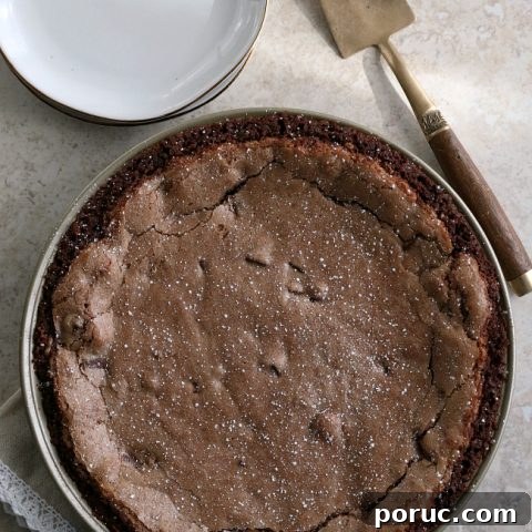 Gluten-free Fudge Pie with Chocolate Crust and powdered sugar sprinkled