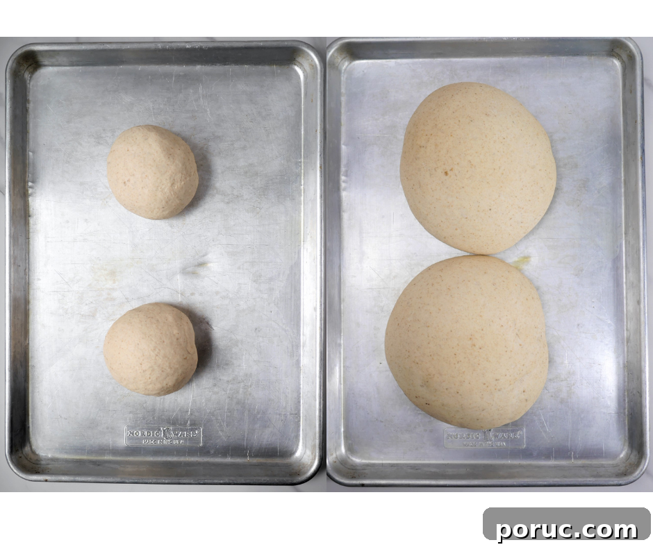 Sourdough Discard Pizza Crust Recipe with Active Dry Yeast 3 img 11001 2
