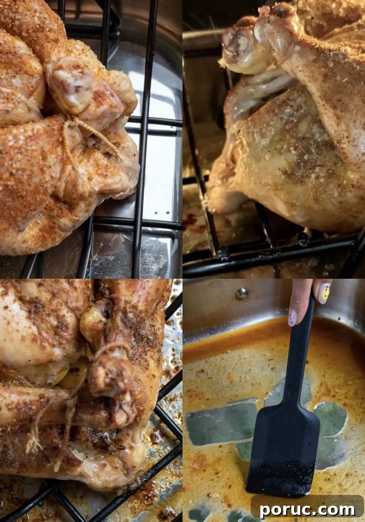 Spicy Lemon Garlic Chicken Recipe — Chicken Maison Copycat 5 Seasoned chicken ready to roast