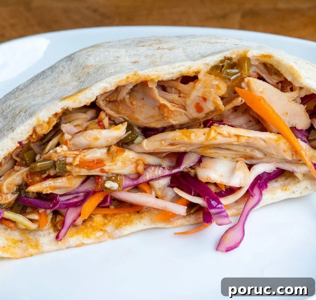 Spicy Lemon Garlic Chicken Recipe — Chicken Maison Copycat 10 Shredded chicken in pita
