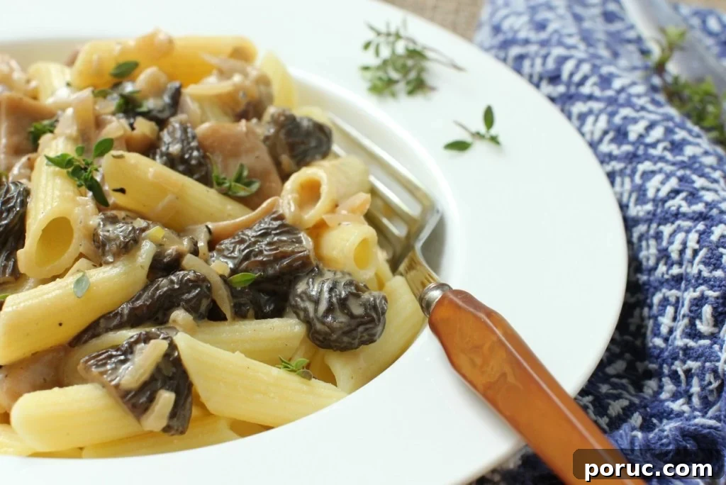 Morel Mushroom Pasta in a Silky Cream Sauce 11 Pasta with morel mushrooms in a cream sauce