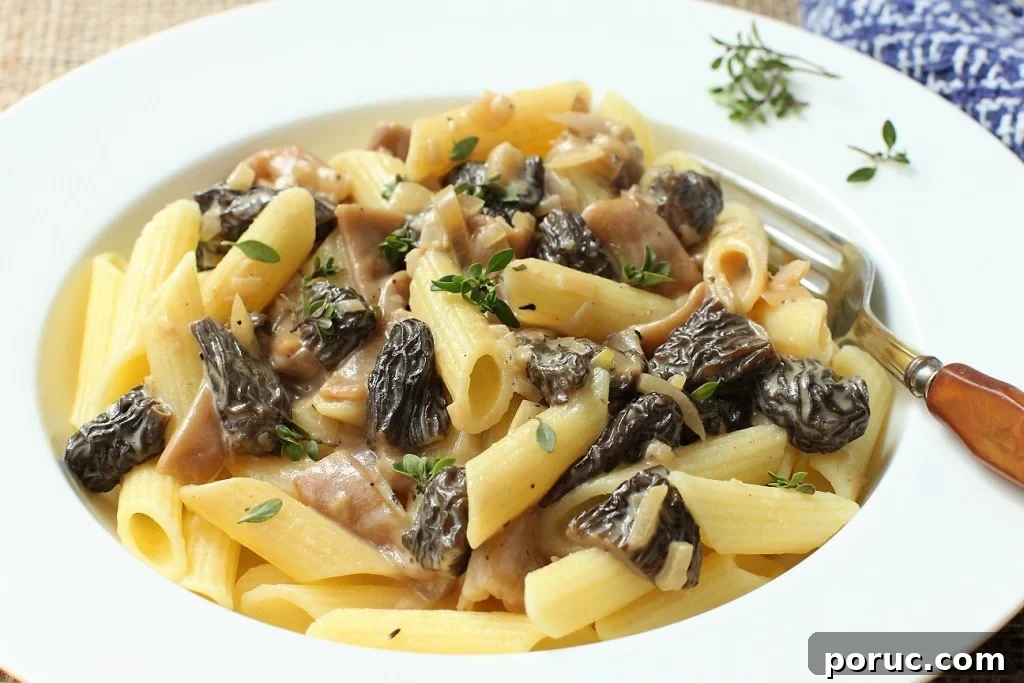 Morel Mushroom Pasta in a Silky Cream Sauce 12 pasta with morel mushrooms - dig right in