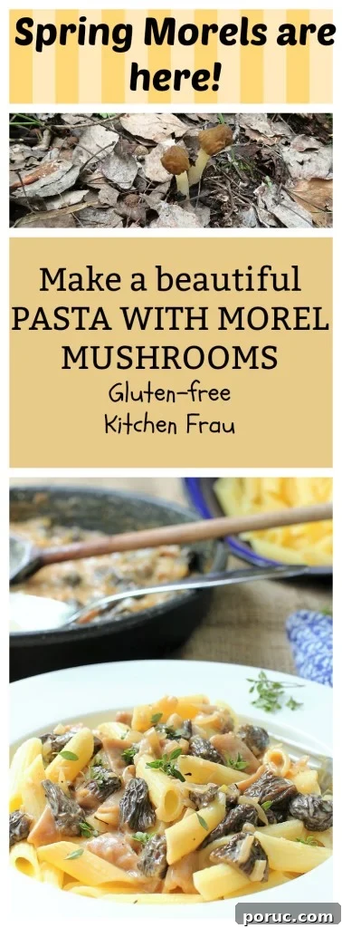 Morel Mushroom Pasta in a Silky Cream Sauce 14 Pasta with Morel Mushrooms | Kitchen Frau