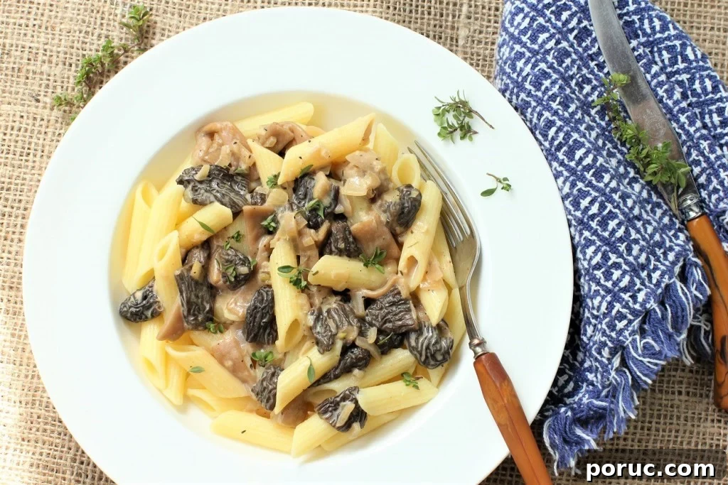 Morel Mushroom Pasta in a Silky Cream Sauce 15 pasta with morel mushrooms in cream sauce with shallots and thyme