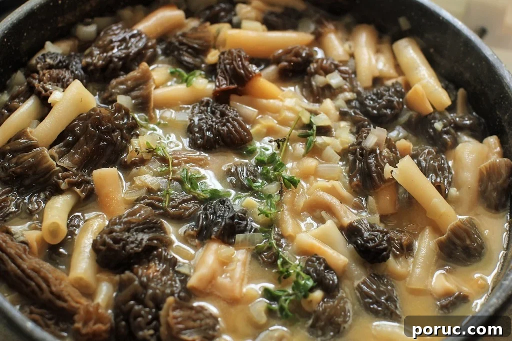 Morel Mushroom Pasta in a Silky Cream Sauce 10 pasta with morel mushrooms, cooking the mushrooms