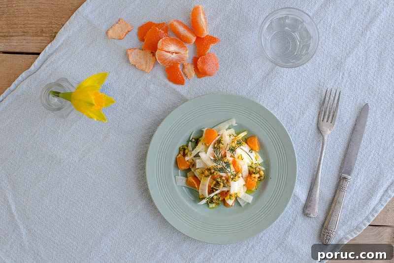 Clementine and Fennel Salad with Zesty Dill Vinaigrette 2 Clementine and fennel salad with a citrussy dill dressing