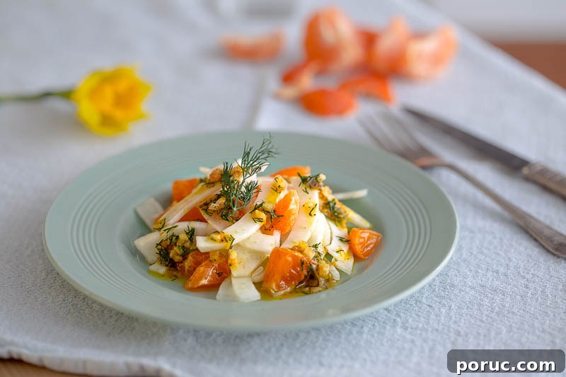 Clementine and Fennel Salad with Zesty Dill Vinaigrette 4 Clementine and fennel salad with a citrussy dill dressing