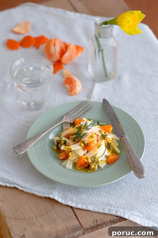 Clementine and Fennel Salad with Zesty Dill Vinaigrette 5 Clementine and fennel salad with a citrussy dill dressing