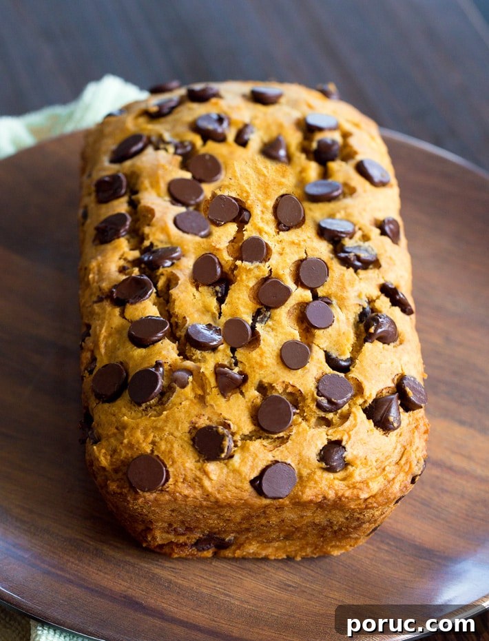 Authentic Vegan Irish Soda Bread Recipe for Perfect Loaves 12 Vegan Pumpkin Bread