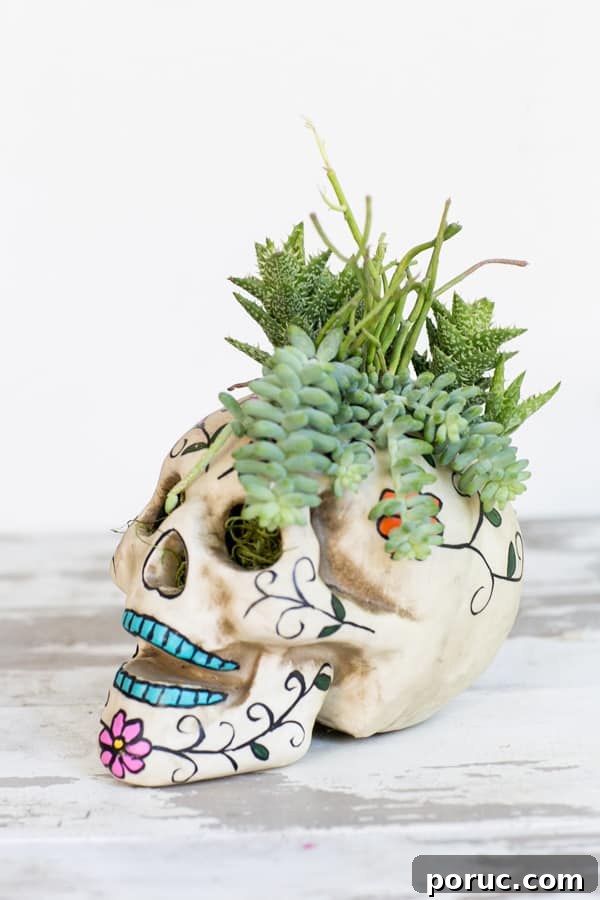 side shot of skull planter