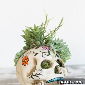 Skull centerpiece