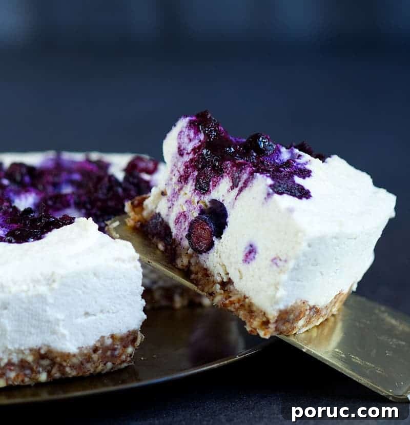 Vegan Gluten-Free Blueberry Cheesecake Recipe 2 blueberry cheesecake