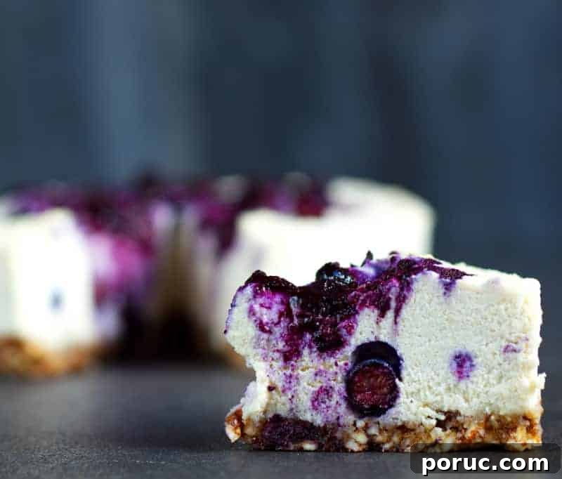 Vegan Gluten-Free Blueberry Cheesecake Recipe 3 vegan cheesecake