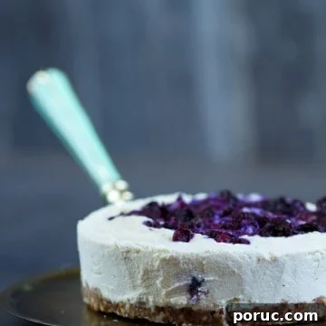 Vegan Gluten-Free Blueberry Cheesecake Recipe 5 vegan cheesecake