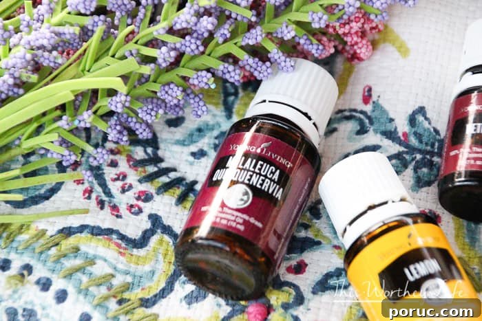 10 Calming Diffuser Blends for Back-to-School Focus 3 Best Essential Oil Recipes for School