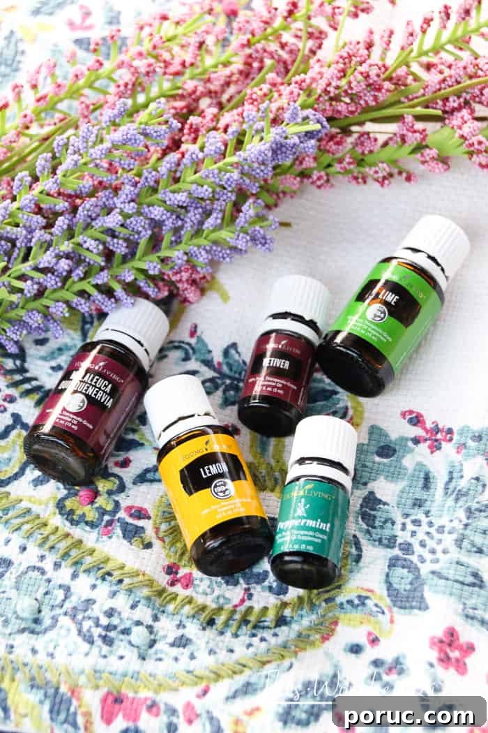 10 Calming Diffuser Blends for Back-to-School Focus 4 Best Essential Oils To Use for School
