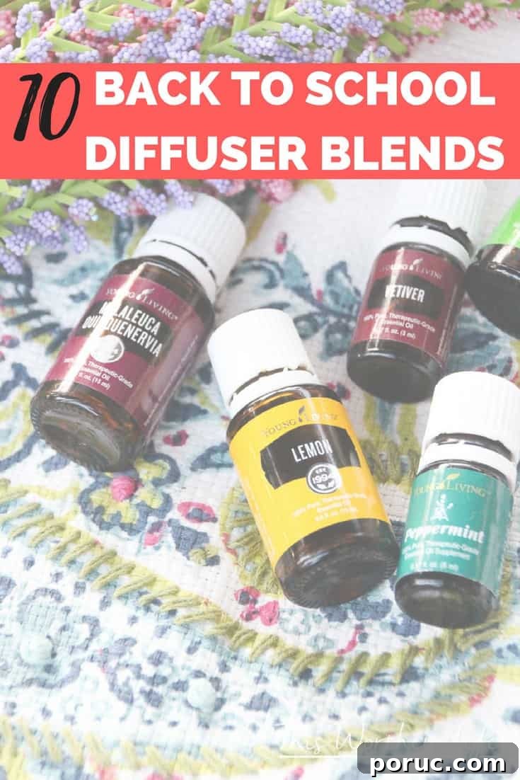 10 Calming Diffuser Blends for Back-to-School Focus 5 These top back to school diffuser blends will help students and teachers at home or in the classroom. Get the back to school essential oil recipes below.