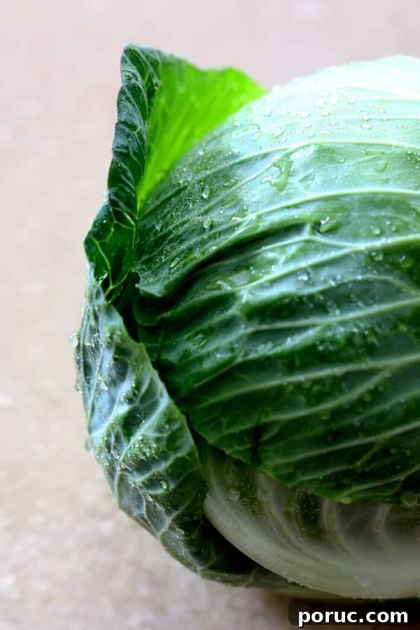 Spicy Asian Pork and Cabbage Rolls with Ginger-Soy Glaze 3 Close-up photo of a whole head of cabbage.