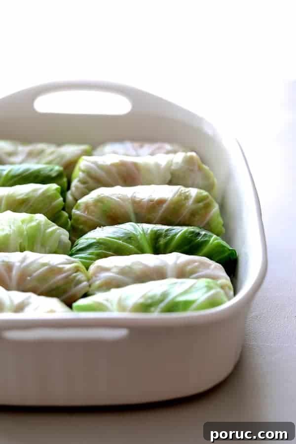 Spicy Asian Pork and Cabbage Rolls with Ginger-Soy Glaze 5 Photo of uncooked cabbage rolls in white baking dish.