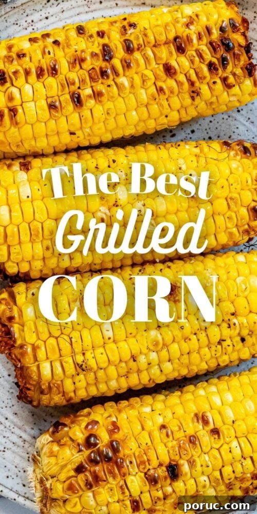 Grilled Corn on the Cob: 3 Quick Methods in 20 Minutes 13 picture of grilled corn on a plate