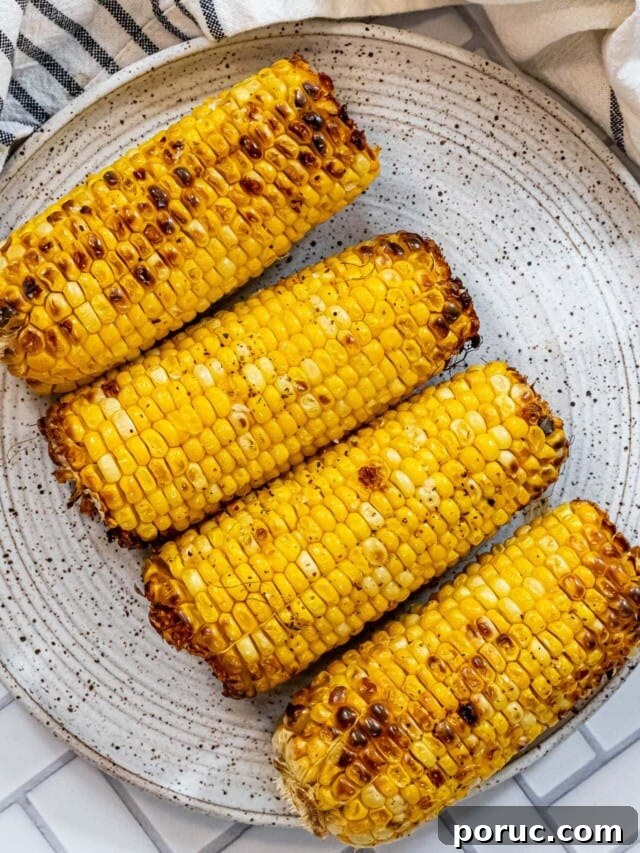 Grilled Corn on the Cob: 3 Quick Methods in 20 Minutes 3 cropped-the-best-grilled-corn-recipe-picture12-scaled-1.jpg