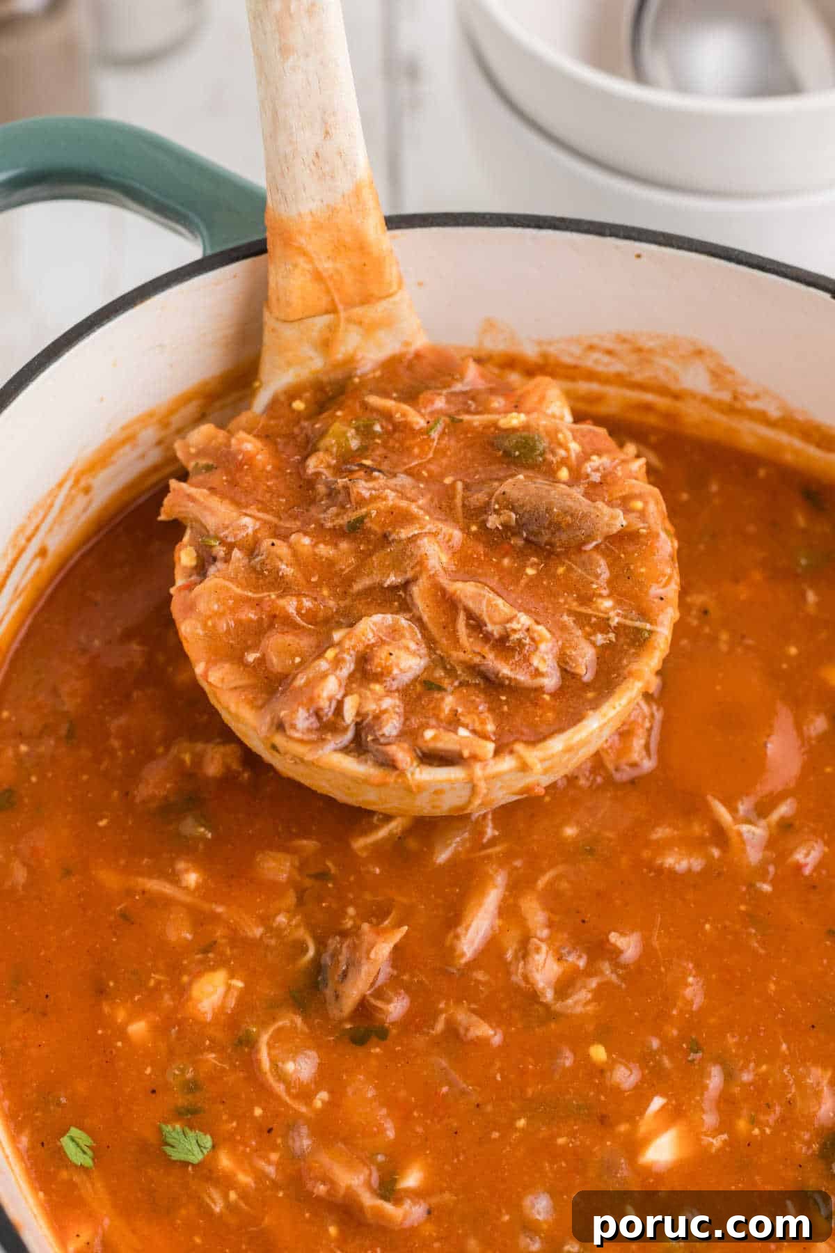 Authentic Louisiana Turtle Soup Recipe – Classic Creole Flavor 2 Close up of a ladle scooping out some turtle soup out of a large pot.