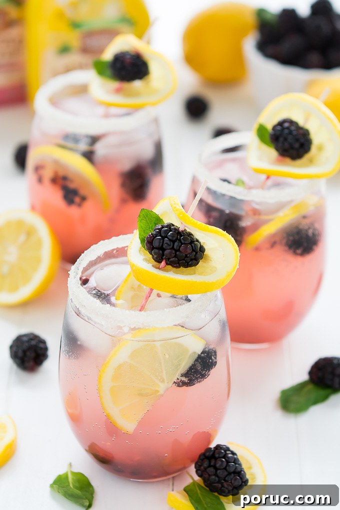 14-Day Family Meal Plan: Week 145 Dinner & Lunch Ideas 8 Sparkling Blackberry Lemonade | Garnish & Glaze