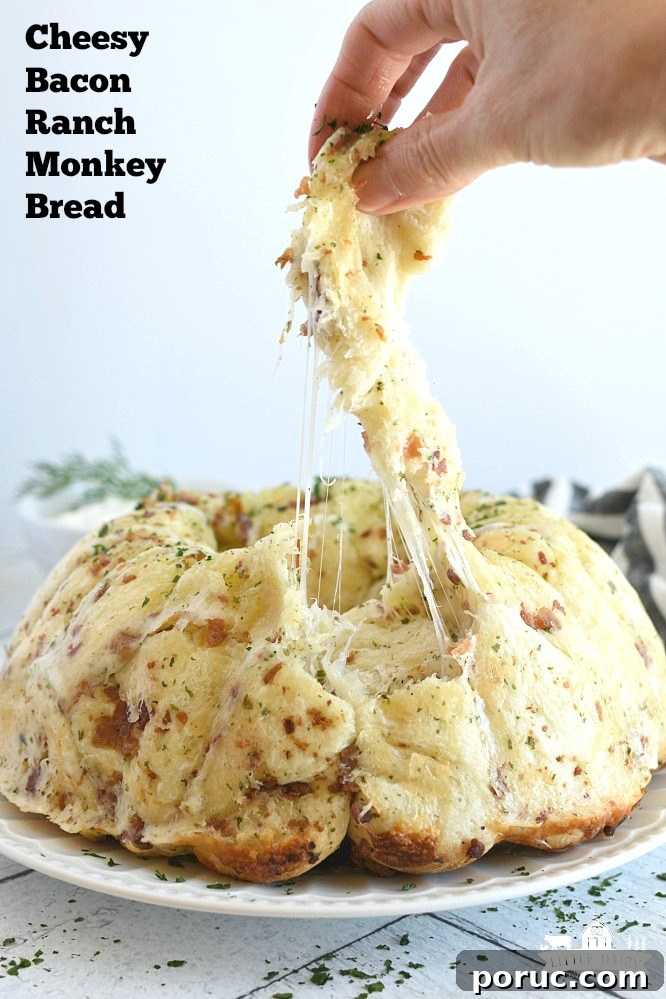 14-Day Family Meal Plan: Week 145 Dinner & Lunch Ideas 10 img 12387 9