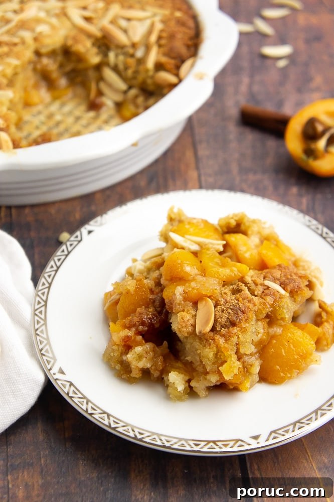 Warm Loquat Cobbler Recipe with Sweet Biscuit Topping 6 a small gold rimmed white plate with a scoop of loquat cobbler on top in front of the pie plate with the rest of the cobbler in it.