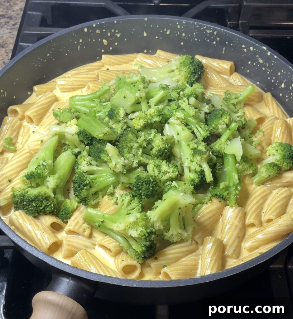 One-Pot Broccoli Cheddar Pasta Recipe for Quick Weeknight Meals 12 One Pot Broccoli Cheddar Pasta