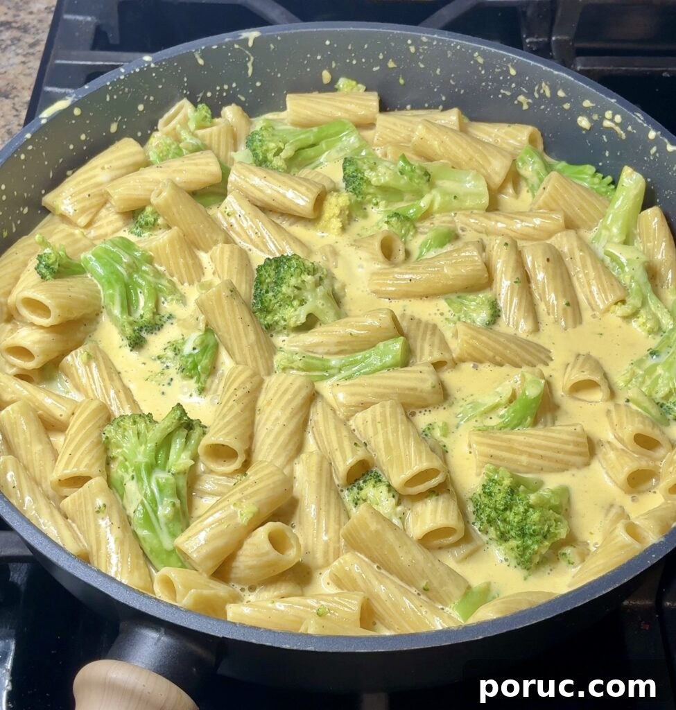 One-Pot Broccoli Cheddar Pasta Recipe for Quick Weeknight Meals 13 One Pot Broccoli Cheddar Pasta
