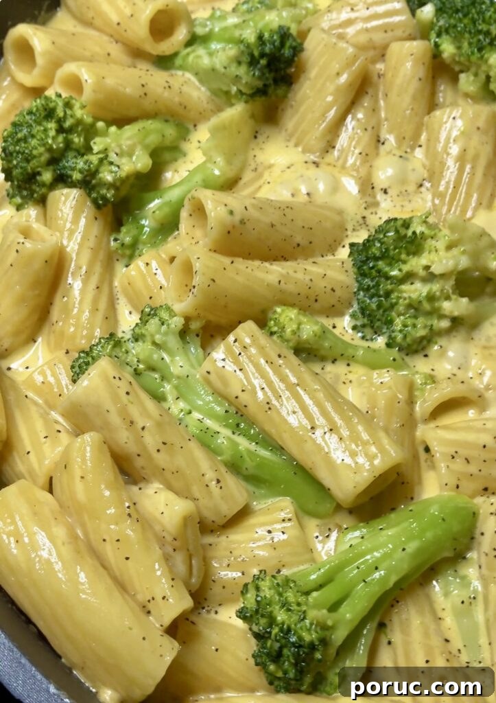 One-Pot Broccoli Cheddar Pasta Recipe for Quick Weeknight Meals 14 One Pot Broccoli Cheddar Pasta