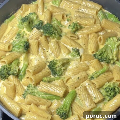 One-Pot Broccoli Cheddar Pasta Recipe for Quick Weeknight Meals 16 One Pot Broccoli Cheddar Pasta (Better Than Boxed Mac & Cheese)