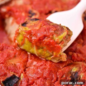 Pigs in the Blanket with Cabbage, these stuffed cabbage rolls are smothered in rich tomato sauce, presented beautifully in a white dish.