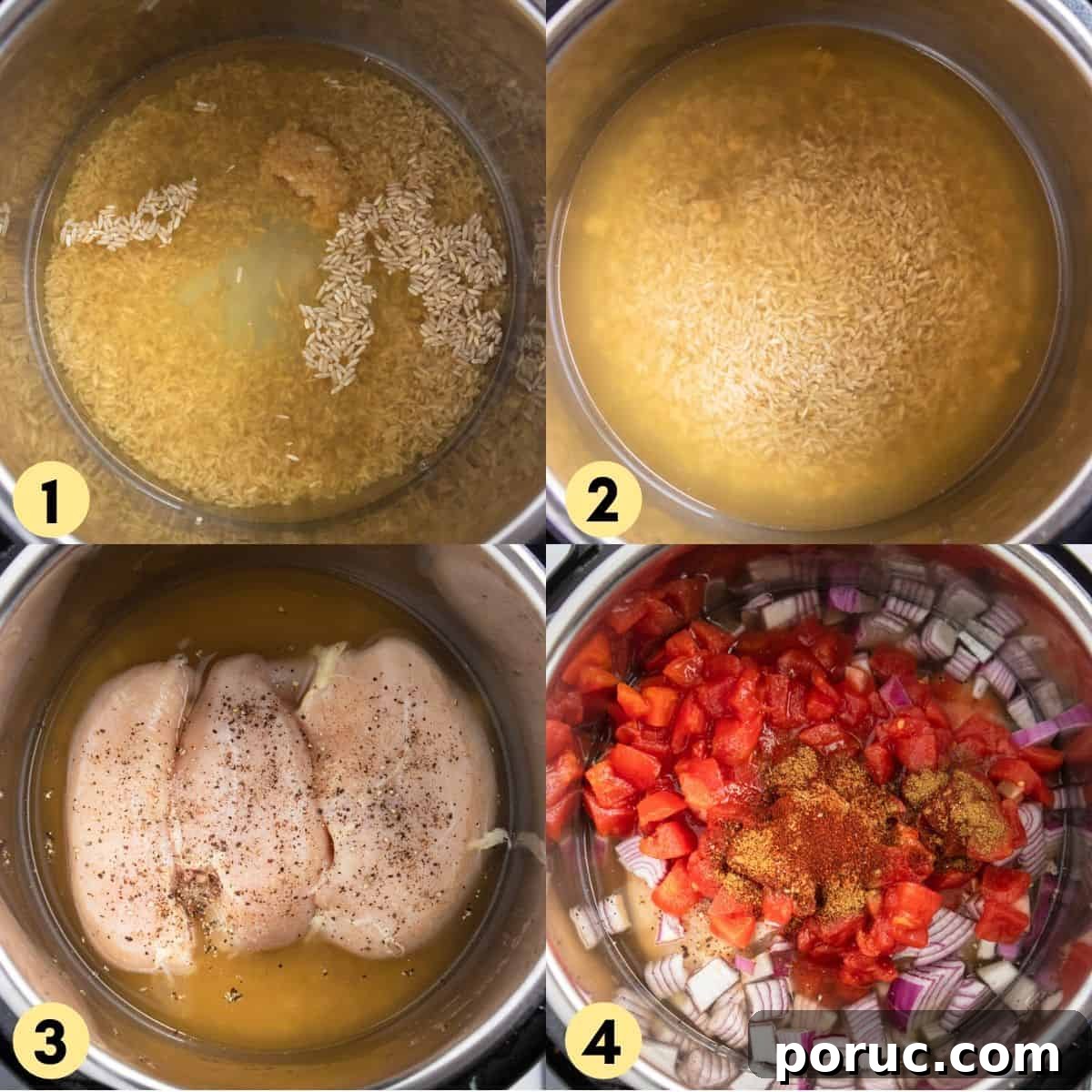 Process photos with chicken, rice and broth in instant pot.