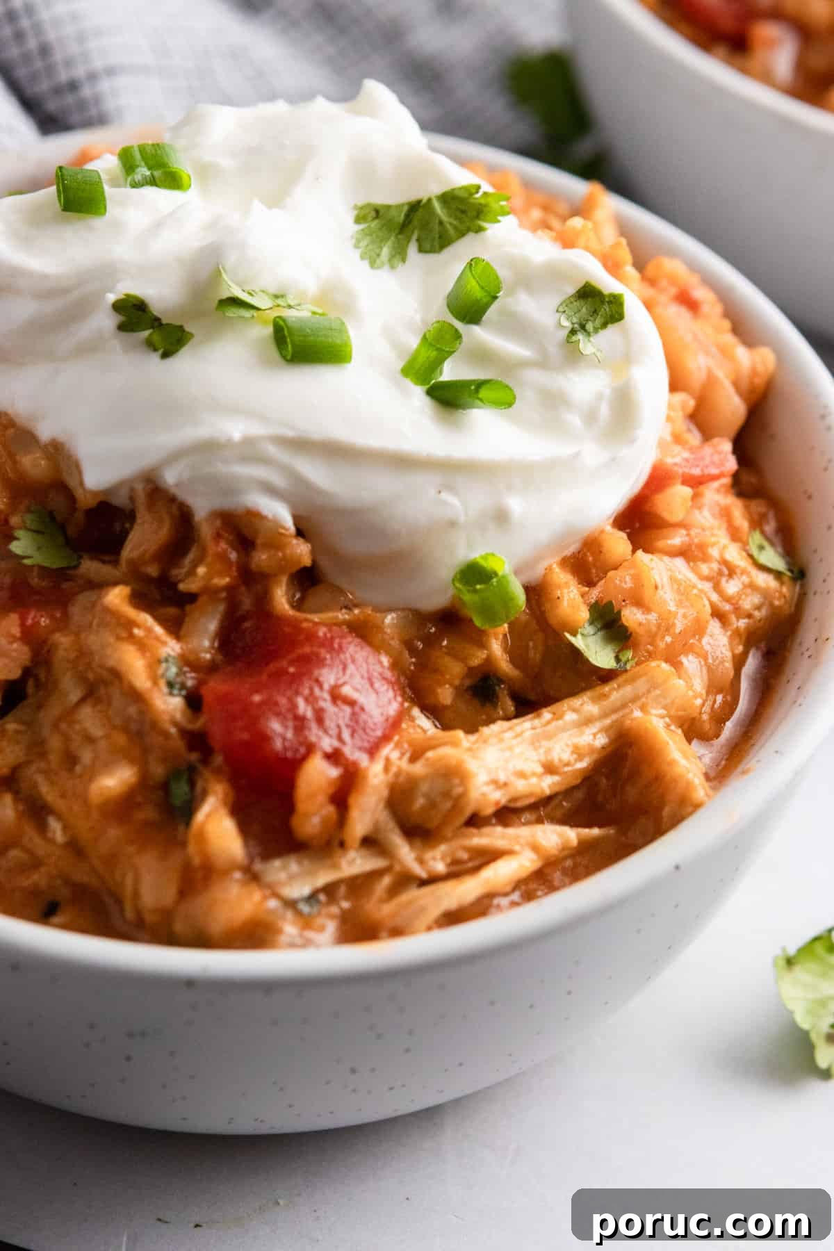 Instant Pot Chicken and rice in bowl topped with sour cream and green onion.