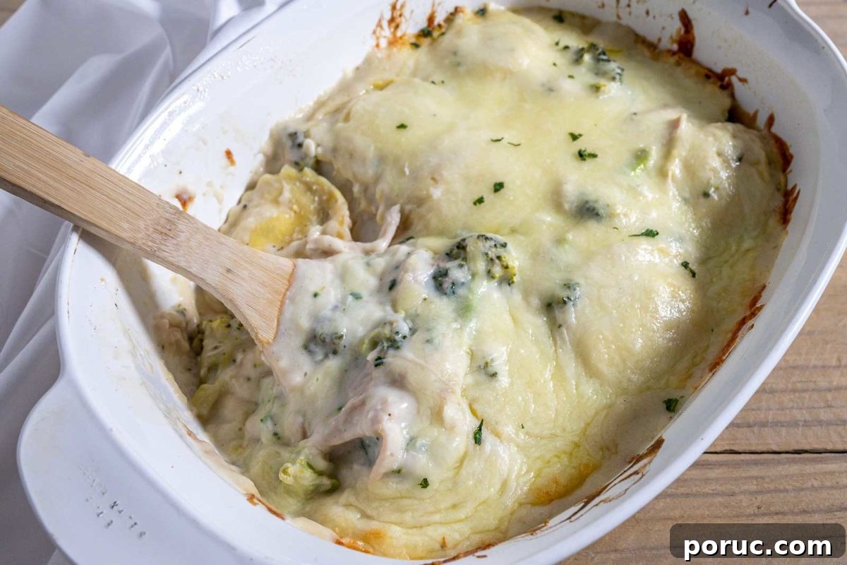 Creamy Chicken Ravioli Alfredo Recipe for Quick Weeknight Dinner 6 Chicken Ravioli Bake in a large casserole dish.